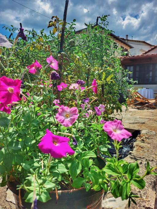 Panthea Cottage Stavroupoli Esterno foto
